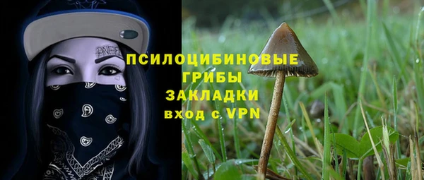 дурь Аркадак