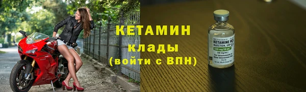 дурь Пересвет